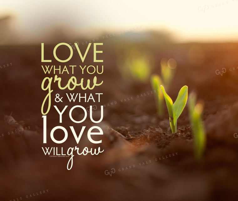 Love What you Grow 1016