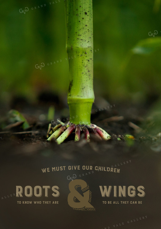 Roots and Wings 1019