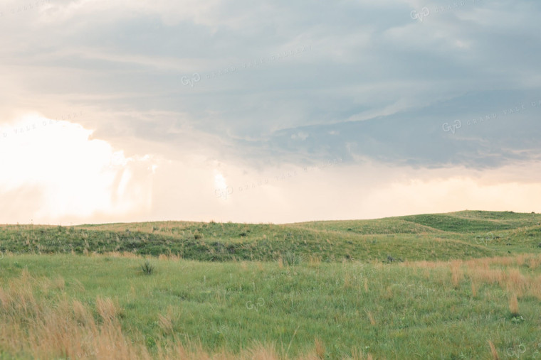 Sand Hills Pasture 53021