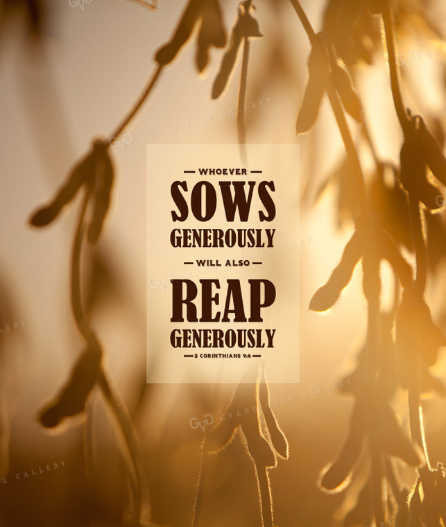 Sow to Reap 1025