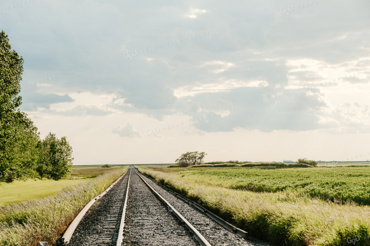 Rural Train Tracks 64002