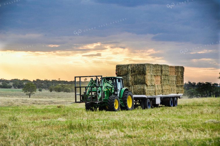 Rack of Large Square Hay Bales 64011