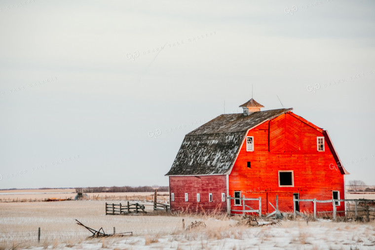 Red Barn in Snowy Grass 64080