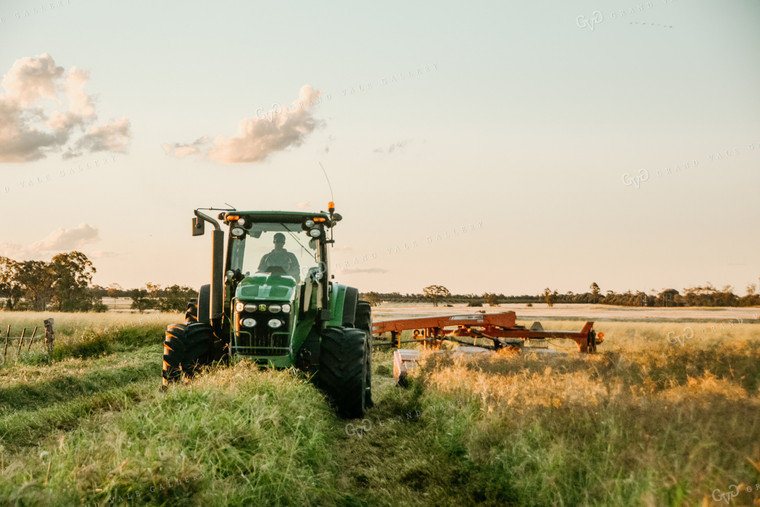 Cutting Hay 64101