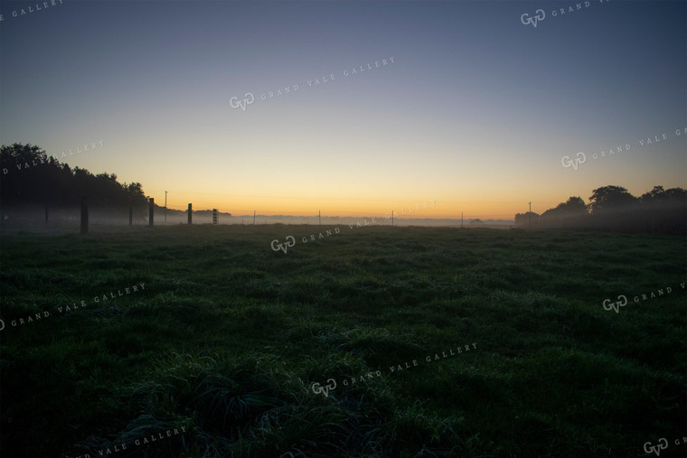 Foggy Pasture at Dawn 50063