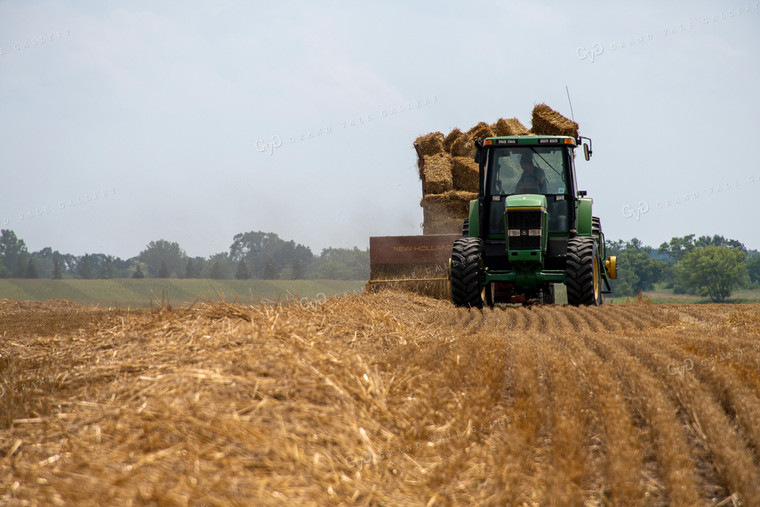 Baling Straw 50136