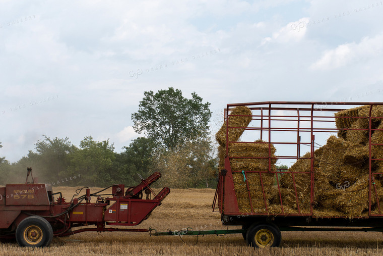 Baling Straw 50140