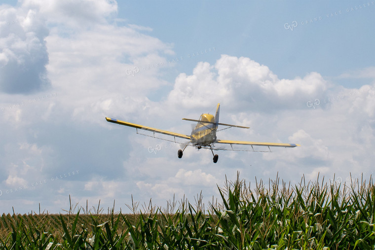 Crop Duster Spraying Corn 50145