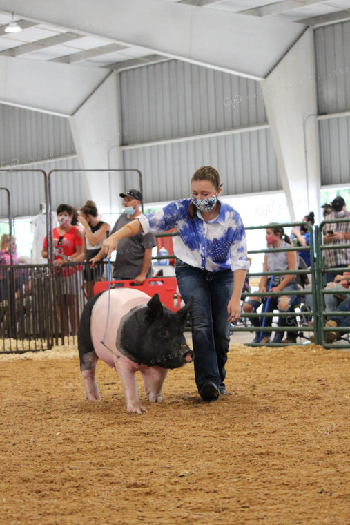 4H Pig Show with Masks 52042