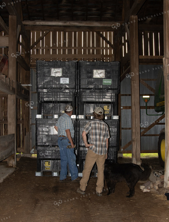 Farmers with Bulk Seed Boxes 52108