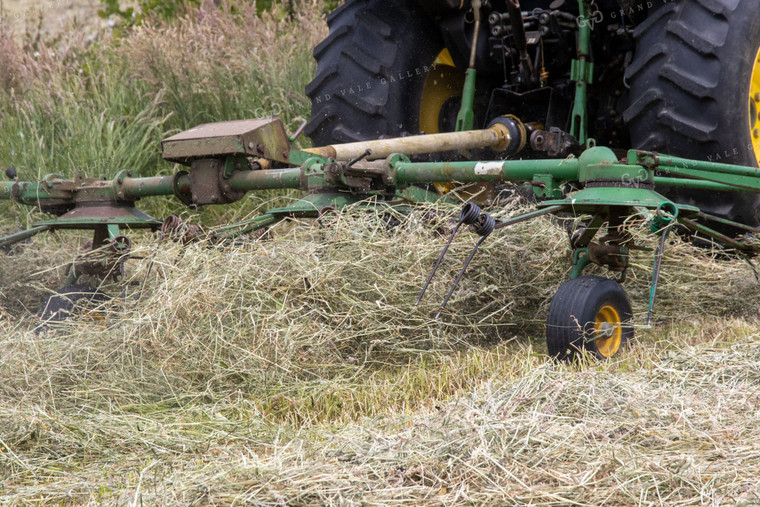 Hay Field 52165