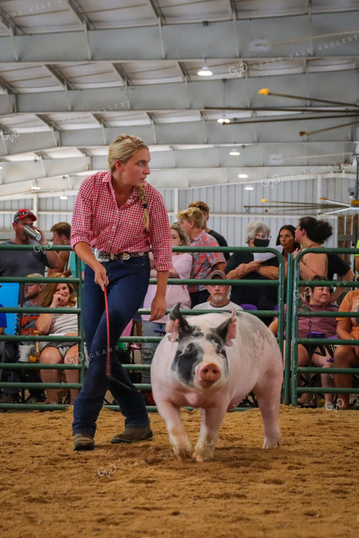 4H Kid Showing Pig 52205