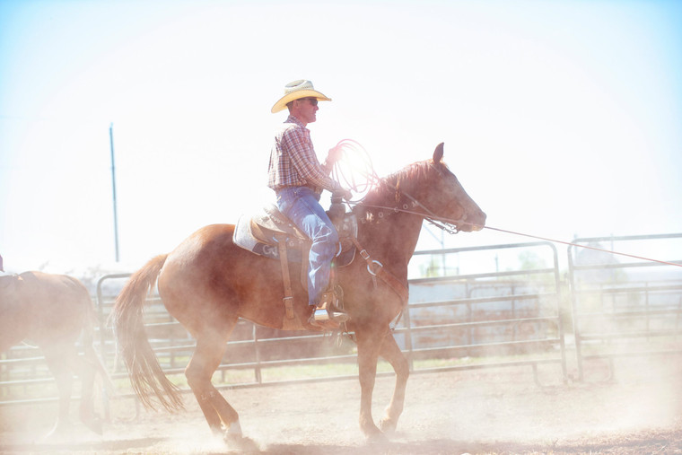 Rancher on Horseback 69030