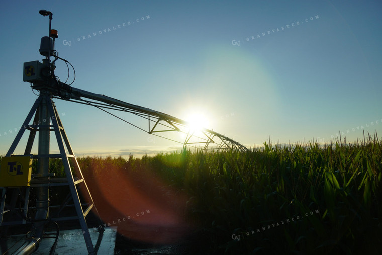 Sunrise Over Irrigation Pivot Corn 65004