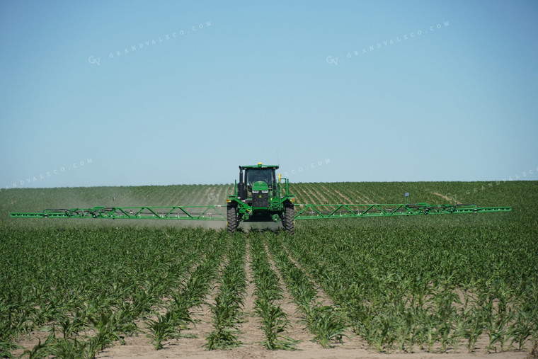 Spraying Corn 65009