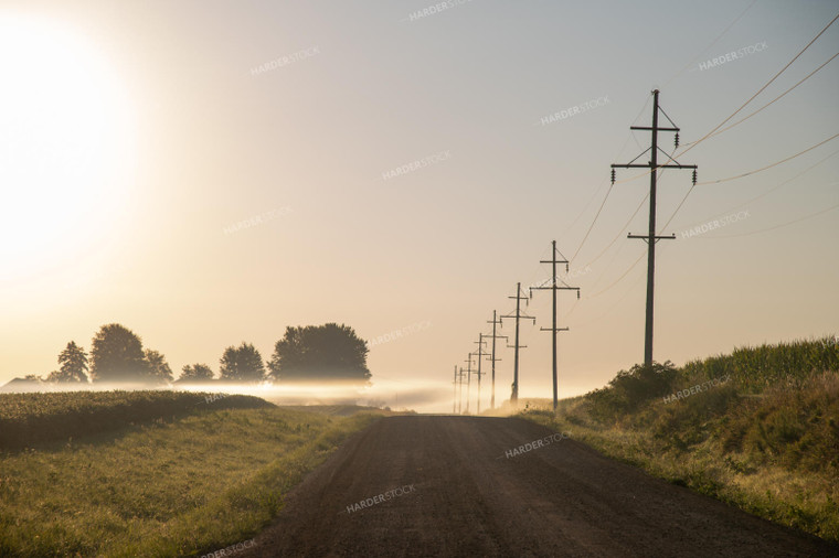 Foggy Sunrise over Soybean Field and Rural Country Road 25028