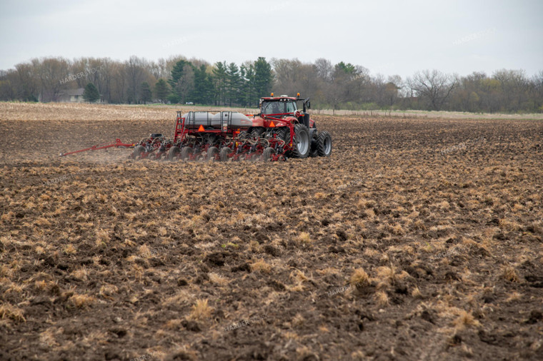 Planting into Tilled Cover Crops 25120