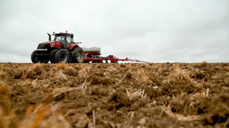 Planting into Tilled Cover Crops 25139