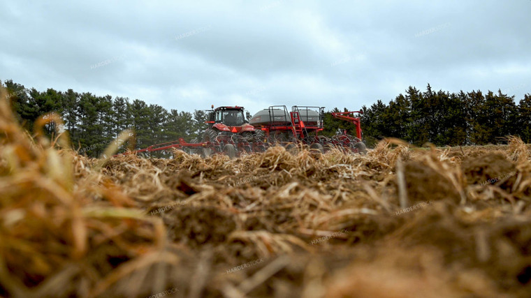 Planting into Tilled Cover Crops 25140