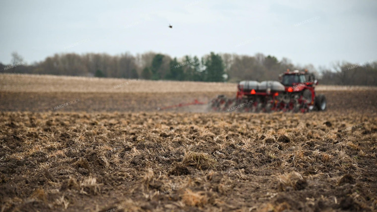 Planting into Tilled Cover Crops 25174