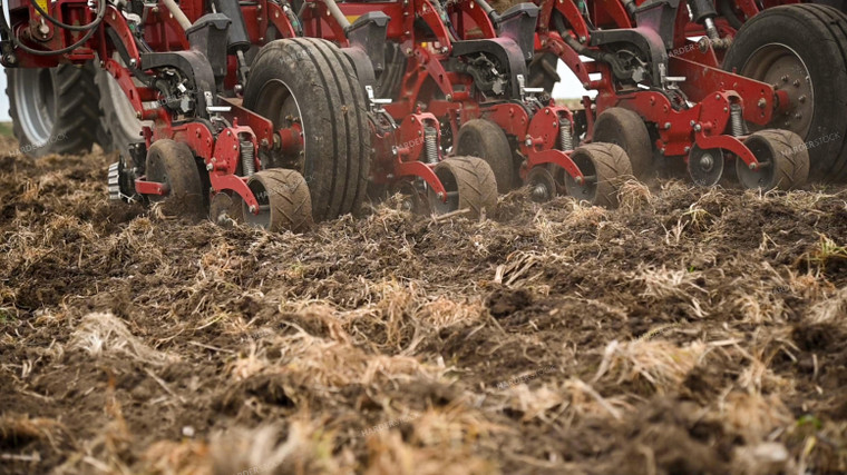 Planting into Tilled Cover Crops 25179