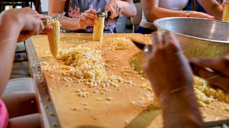 Cutting Sweet Corn off the Cob 25253