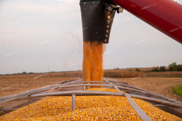 Grain Cart Unloading into Semi 25477