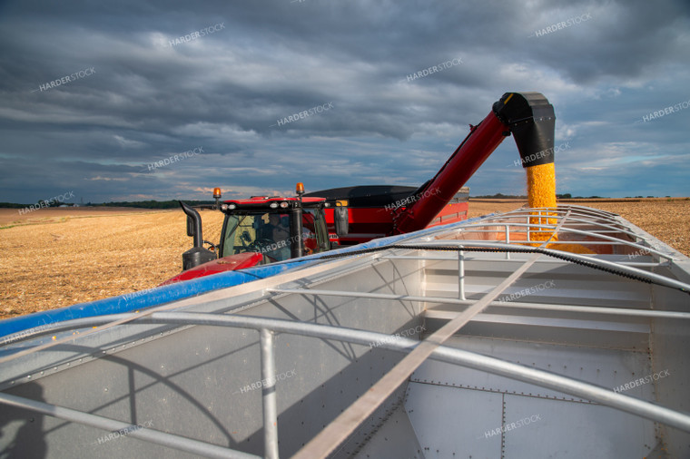 Grain Cart Unloading into Semi 25560