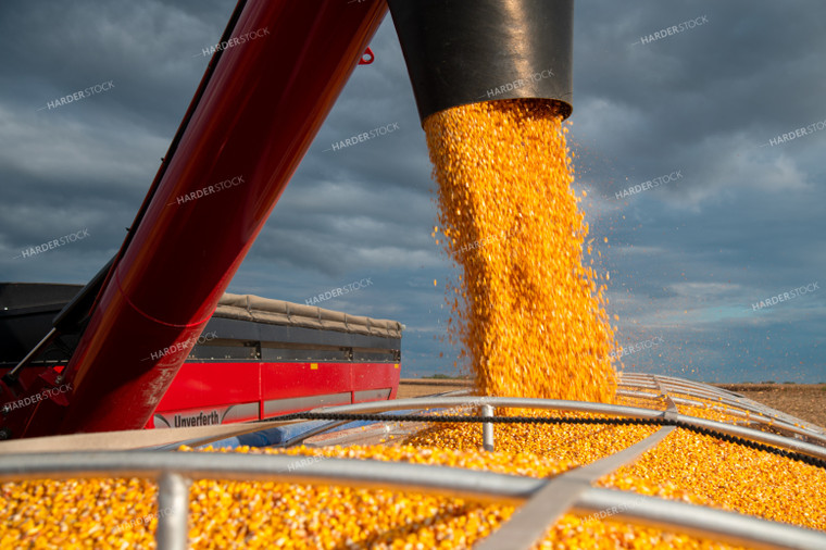 Grain Cart Unloading into Semi 25561