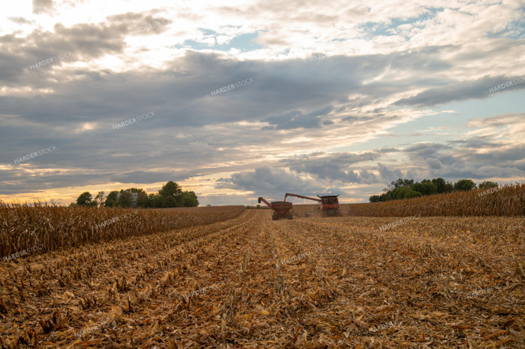 Combine Unloading Corn into Auger Wagon on the Go 25565