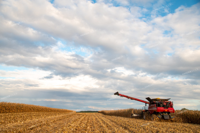 Combine Harvesting Corn 25566