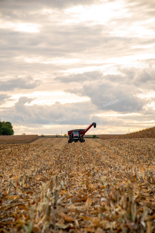 Grain Cart Driving through Corn Field 25570