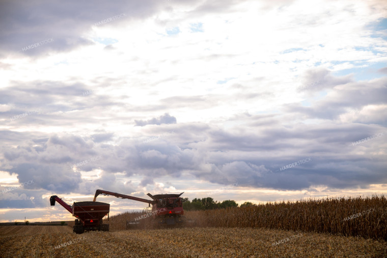 Combine Unloading Corn into Auger Wagon on the Go 25572