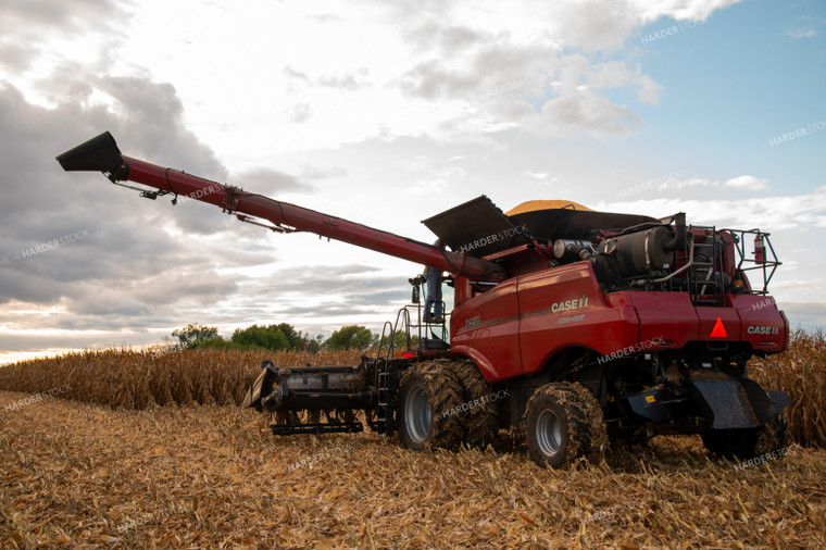 Combine Harvesting Corn 25576