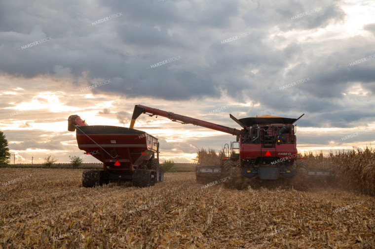 Combine Unloading Corn into Auger Wagon on the Go 25580