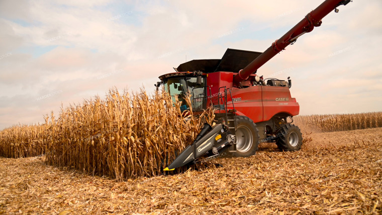 Combine Harvesting Corn 25597