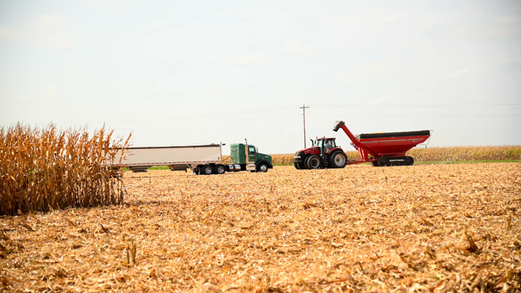 Grain Cart Unloading into Semi 25601