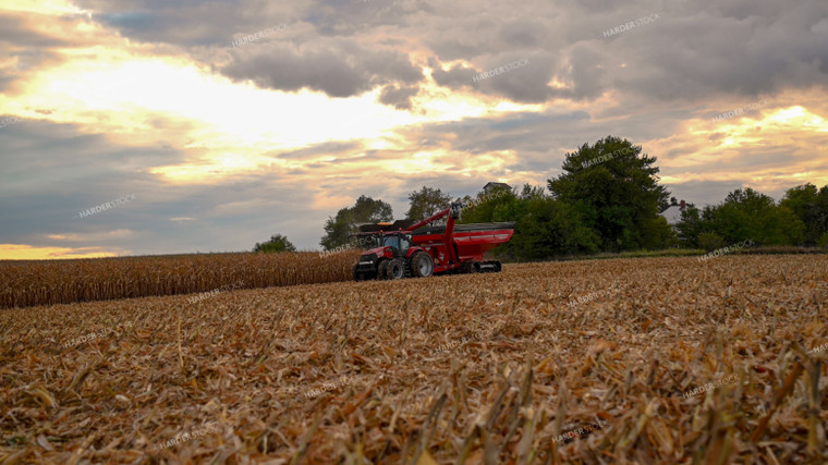 Combine Unloading Corn into Auger Wagon on the Go 25651