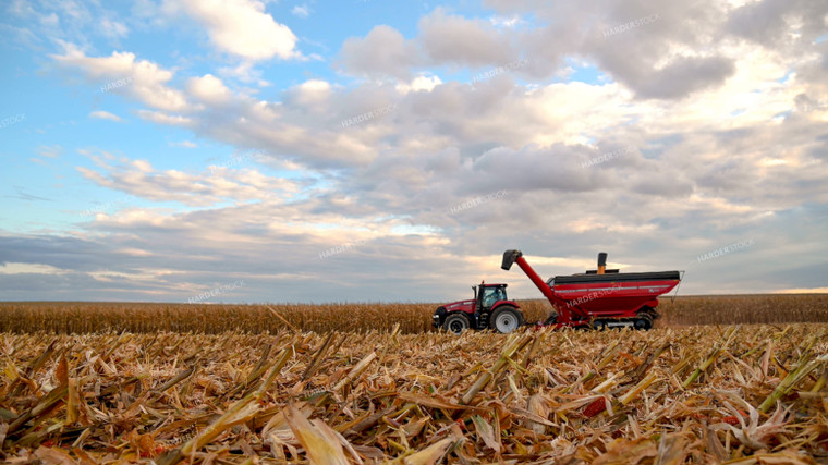 Combine Unloading Corn into Auger Wagon on the Go 25654