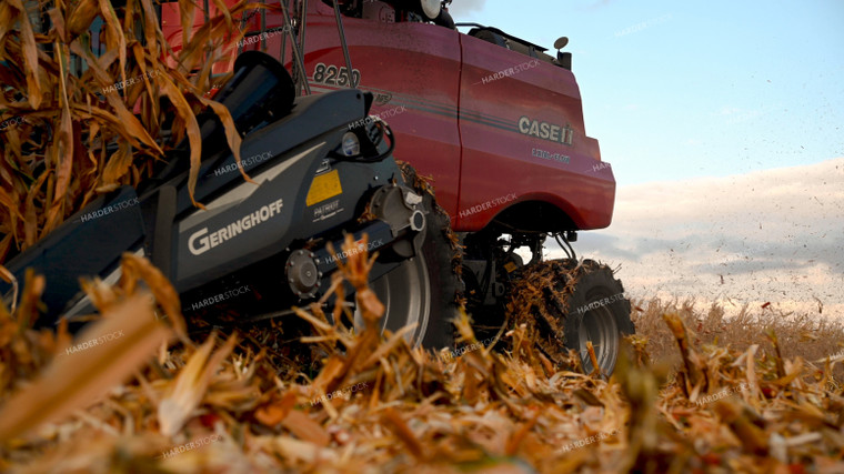 Corn Cobs and Chaff from Combine End 25655