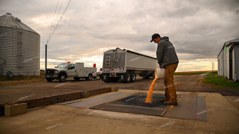 Farmer Dumping Corn into On-farm Storage Pit 25660