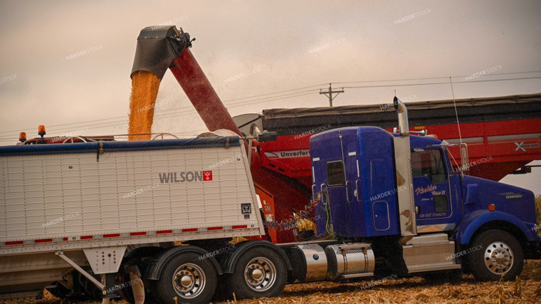 Grain Cart Unloading into Semi 25665