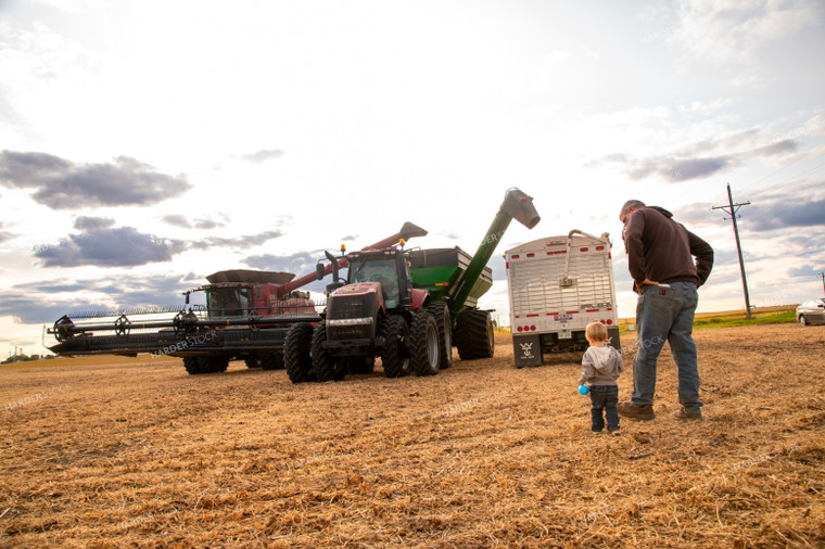 Farmer with Grandson in Bean Field 25676