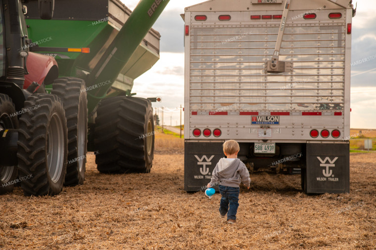 Child Walking in Bean Field 25677