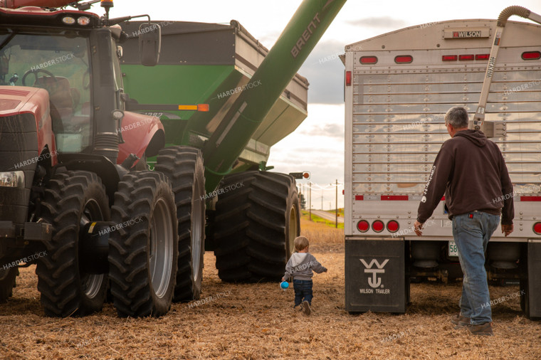 Farmer with Grandson in Bean Field 25678