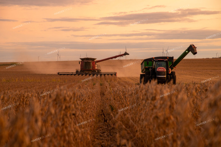 Combine Harvesting Soybeans as Grain Cart Drives Ahead 25709