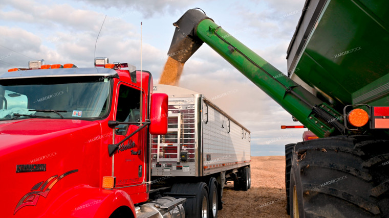 Grain Cart Unloading into Semi 25713