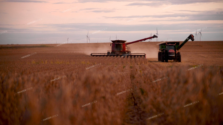 Combine Unloading Soybeans into Auger Wagon on the Go 25751