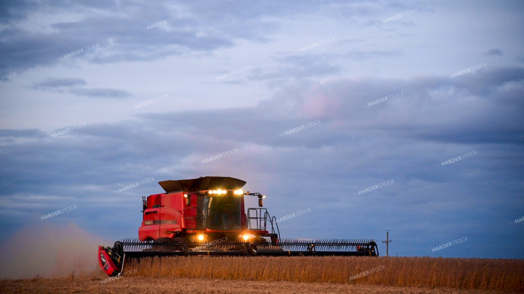 Combine Harvesting Soybeans 25756