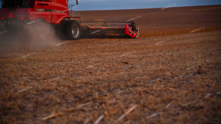 Combine Harvesting Soybeans 25762